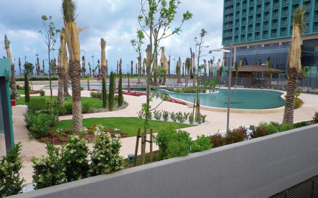 Park with palm trees and water basin